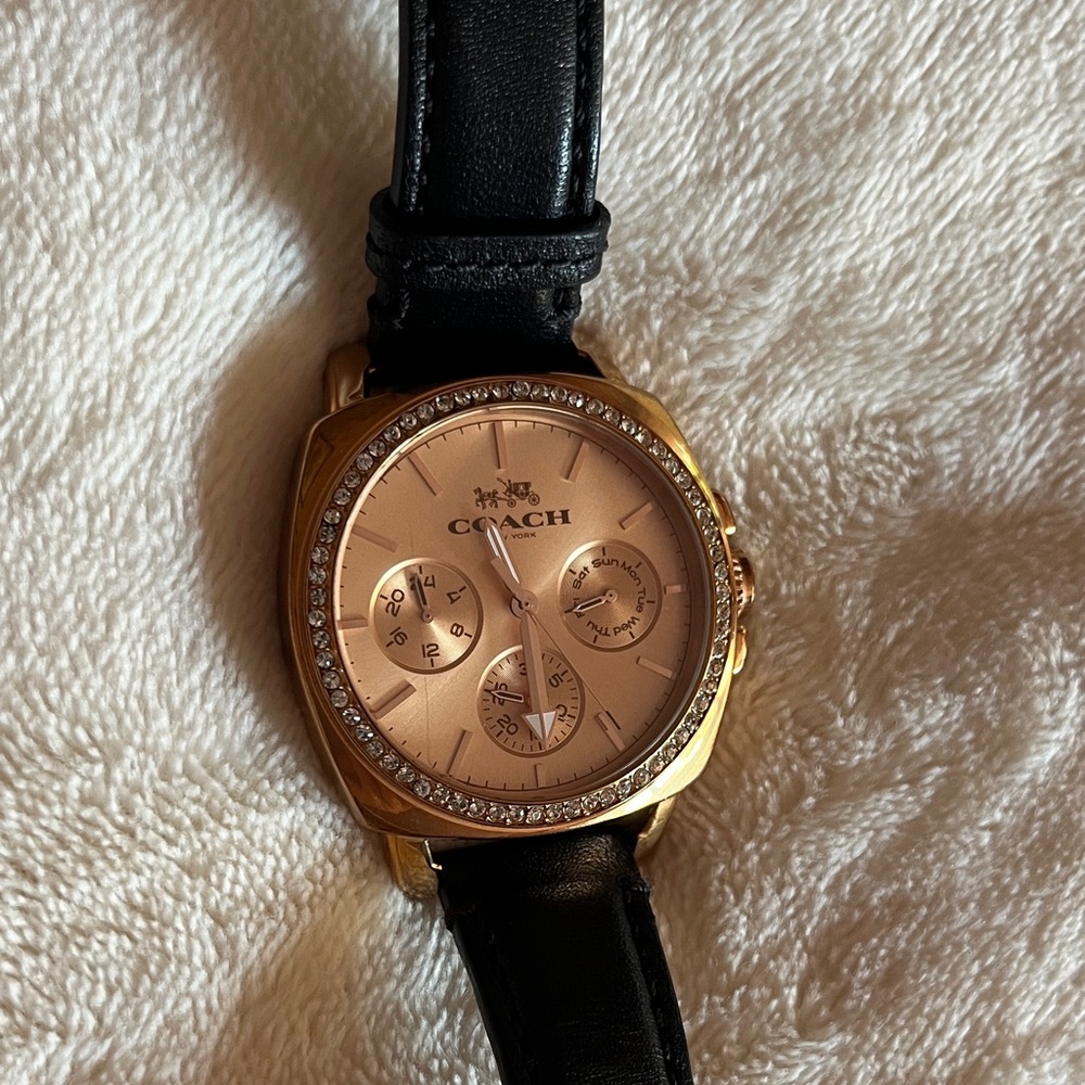 Coach Gold and Black Watch
